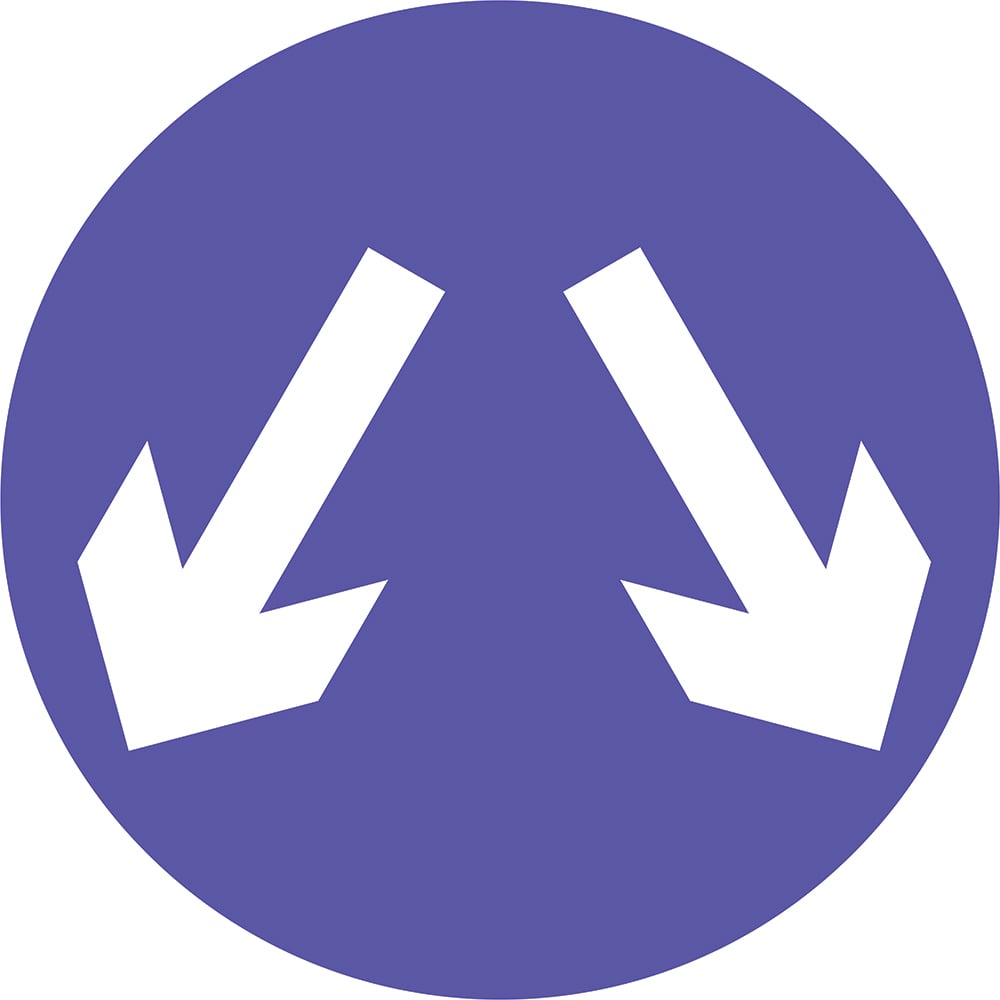 Signage: Pass Either Side (REGU0005)