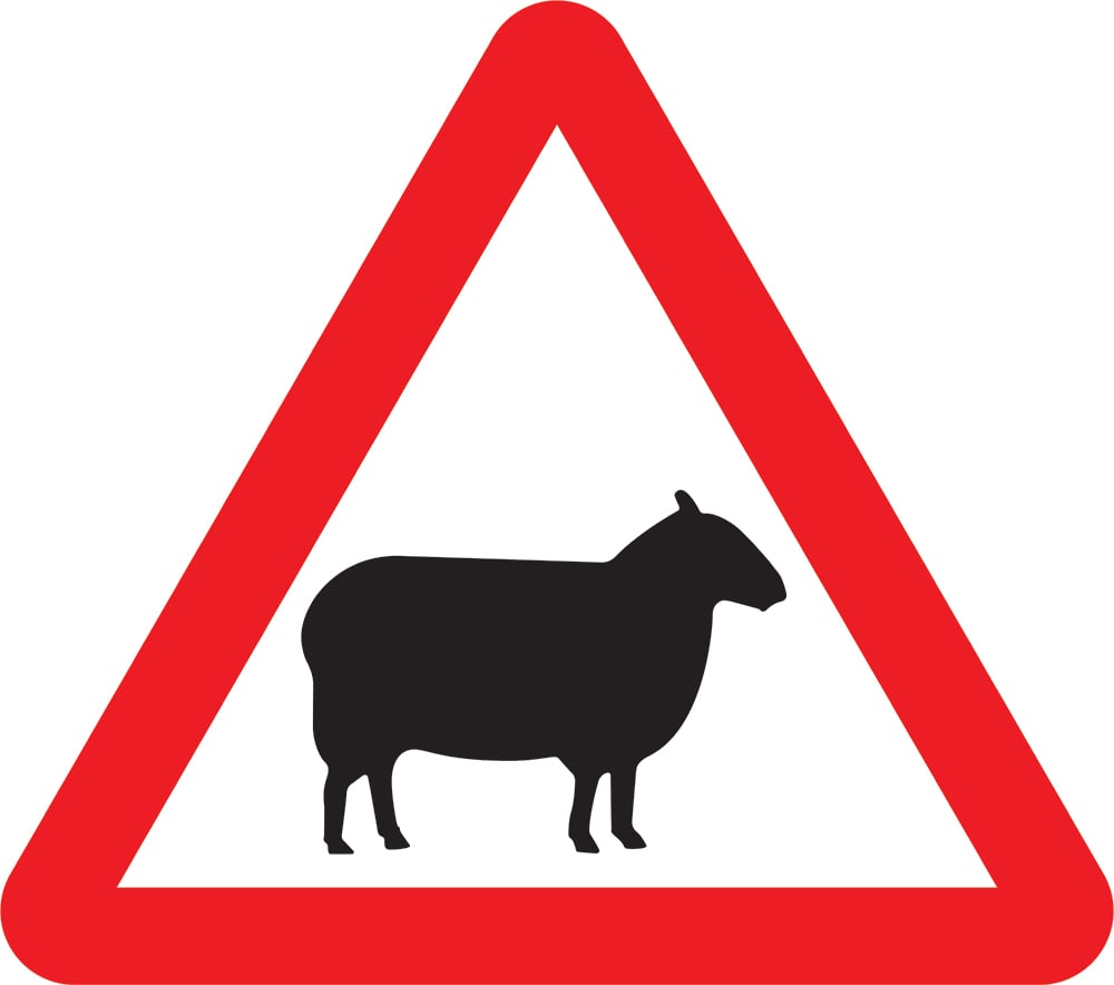 Signage: Warning Sheep Crossing (WARN0038)