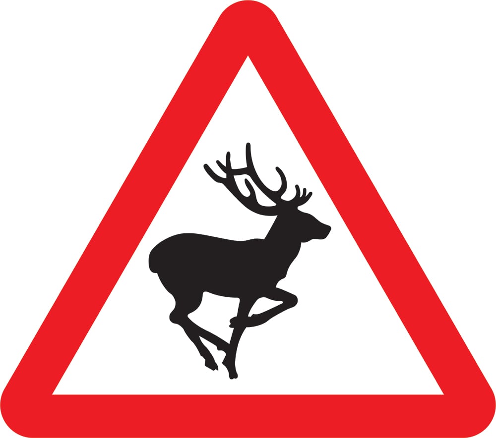 Signage: Warning Deer Crossing (WARN0039)